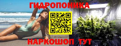 гашик Ликино-Дулёво