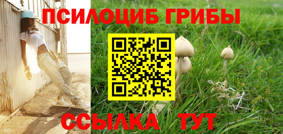 Елец  Псилоцибиновые грибы Cubensis  Вход с VPN 
